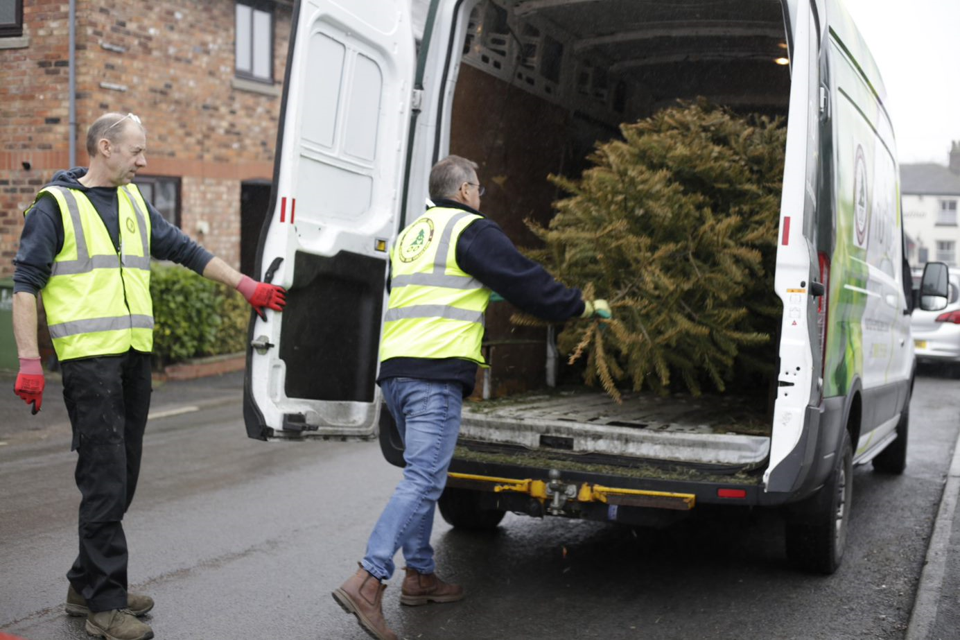 Christmas Tree Collection 2025