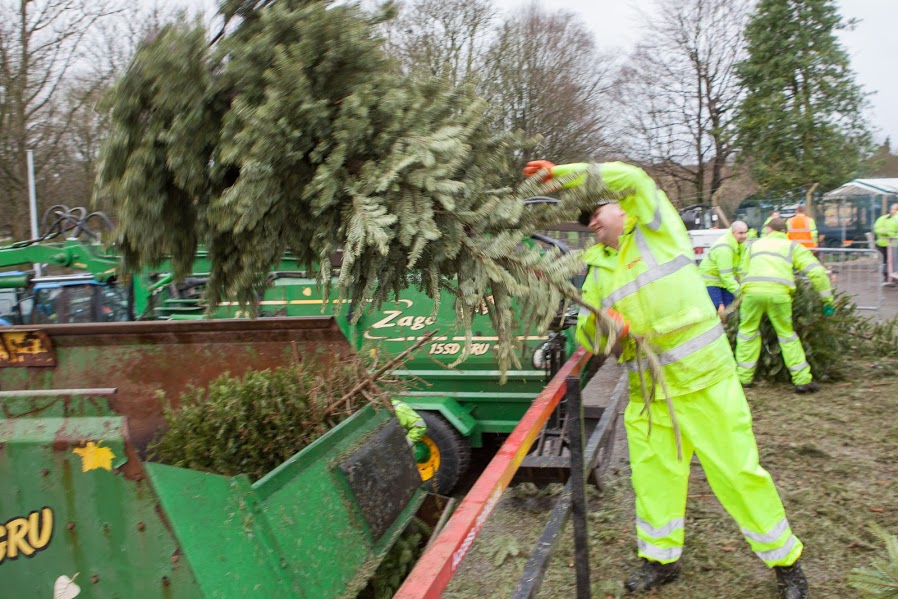 Local customers have loyally supported Christmas Tree Collection for 25 years!